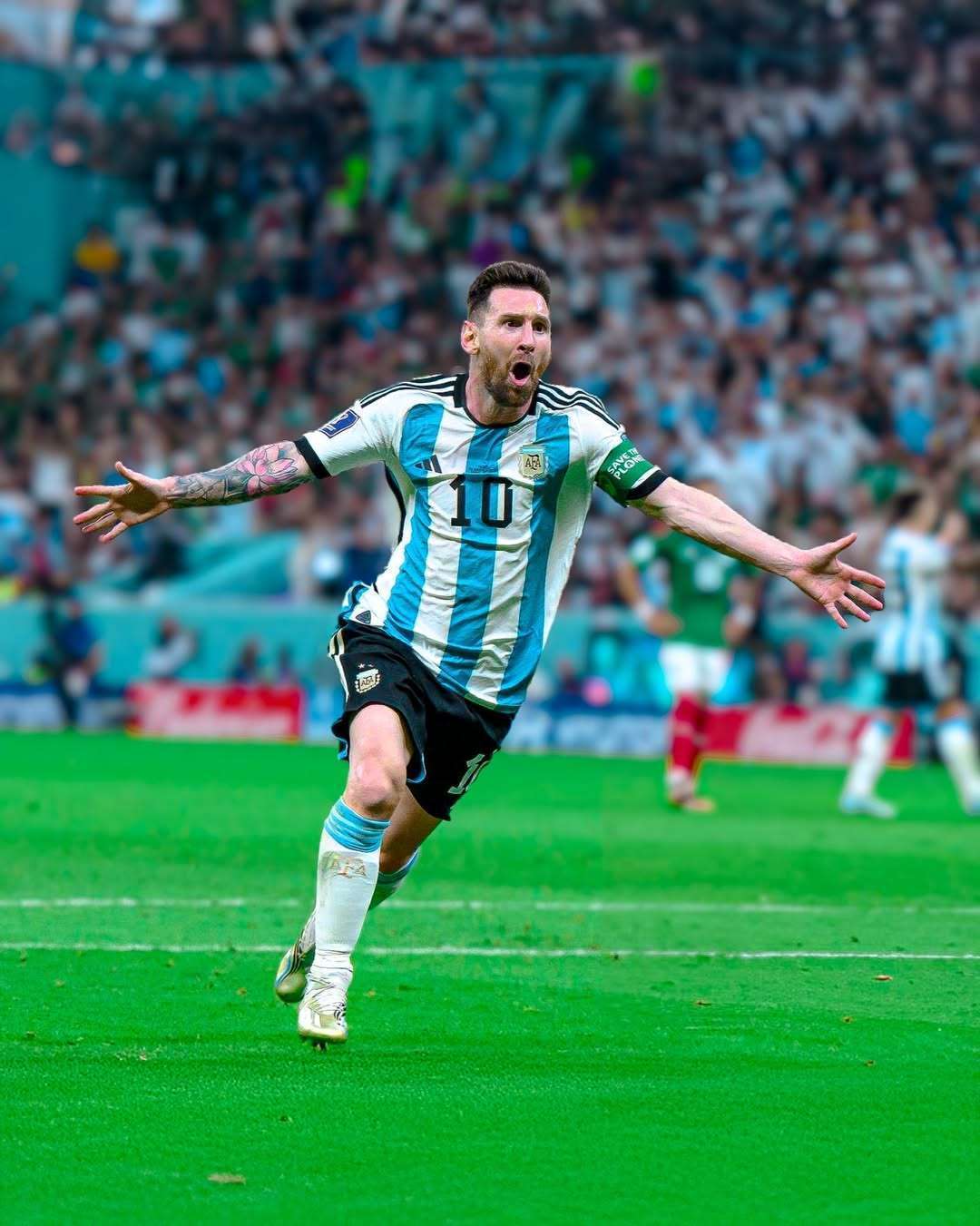 综上所述 综上所述